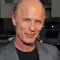 Ed Harris